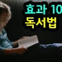 책으로 인생 뒤바꾸는 효과 100배 독서법