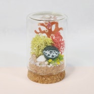 [바다 한방울,둘]핸드메이드 소품 장식 감성소품 선물 집꾸미기 미니어쳐 유리돔 바다 산호
