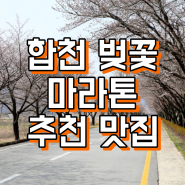 합천 벚꽃 마라톤 현지인 추천 합천 맛집