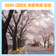 2024 대청호 벚꽃축제 일정 및 기본정보