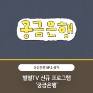 KB국민은행 유튜브 채널 별별TV, 신규 프로그램 ‘궁금은행’ 런칭!