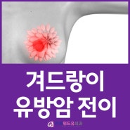 서울 유방외과,겨드랑이에 유방암 전이를 왜 걱정할까