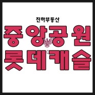 중앙공원 롯데캐슬 시그니처 실입주 청약예정 이라면 클릭