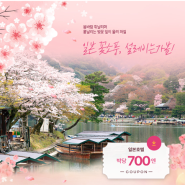 일본 벚꽃명소 추천호텔🌸 + 박당 700엔 무제한 할인찬스💰