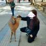 [민지의 6박7일 일본일기 (7일차, 나라)] : 6박7일 일본여행 마지막 날, 나라 사슴공원 (feat.코인락커)