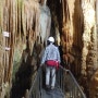 단양 천동동굴, 제천 의림지, 청풍문화재단지, 청풍호유람선