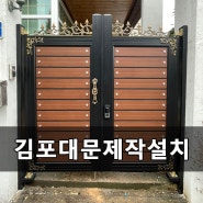 덕양구 관산동 대문제작 설치 알루미늄대문