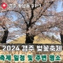 2024 경주 벚꽃축제 연기 3월 29일부터 대릉원돌담길 벚꽃 명소