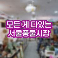 박군가발 동대문시장 서울풍물시장