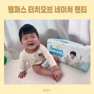 아기백일선물 팬티기저귀 팸퍼스 터치 오브 네이처 추천