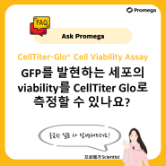 [Ask promega] GFP를 발현하는 세포의 viability를 CellTiter Glo로 측정할 수 있나요?