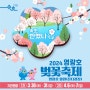 2024속초 영랑호벚꽃축제. 반했나봄.축제일정.