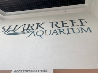 라스베가스-아이와 갈만한곳 ( Shark Reef Aquarium)