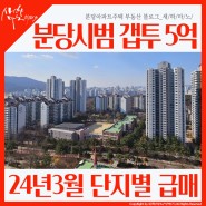 분당 서현동 아파트 매매 _ 시범한양 시범우성 시범현대 갭투자 5억