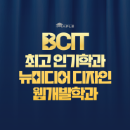 BCIT 최고인기학과 뉴미디어 디자인 웹개발 학과 (Feat. 메이플 합격 사례)