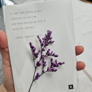 봄카드 청첩장 샘플 후기