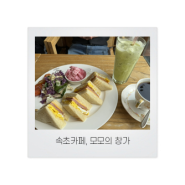 [속초카페] 브런치 맛집으로 유명! 직접 로스팅하는 커피맛집! 타로점을 볼 수 있는 이색 카페 - 모모의 창가 (대포동 타로카페, 속초 로스팅카페, 속초 타로카페, 속초카페)