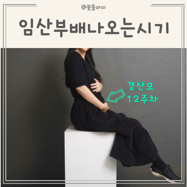 임산부 배나오는 시기, 임신 12주부터 아랫배 뽈록! : 네이버 블로그