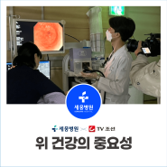 금정구 세웅병원 내과 3과 송성은 부장 출연 | 위 건강의 중요성, TV조선 내 몸을 살리는 발견 유레카