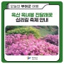 🌸제15회 옥산 옥녀봉 진달래꽃 십리길 축제