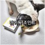 <강아지 슬개골탈구예방 영양제> 강아지 관절 및 근육 영양제 마이펫프로젝트 마이독 조인트!!