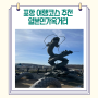 놀거리가 한가득 포항 구룡포 일본인 가옥거리 과메기 문화관 까멜리아