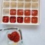 아기 중기 이유식 토마토 큐브 10분 만들기