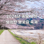 2024년 충북 보은 벚꽃길 축제 벚꽃 명소 개화시기