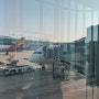 도쿄여행(인천↔나리타공항) 에티오피아 항공 금액, 수화물규정, 기내식 후기