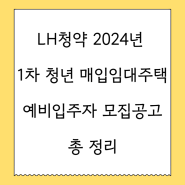LH청약 서울 24년 1차 청년 매입임대주택 예비입주자 모집공고 총정리