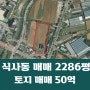 일산동구 식사동 대단지 주거지역 근처 2286평 그린벨트 토지 매매