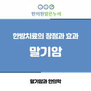 [부산암치료] 한방치료와 말기암, 장점과 효과_동래맑은누리한의원