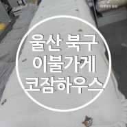 [코잠하우스] 울산 북구 송정 모달이불 아기이불 저렴한곳