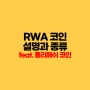 RWA 코인 설명과 종류 feat.폴리매쉬 코인