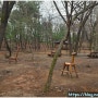 석수체육공원 / 만안구 유아의 숲
