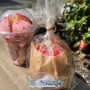 시즈오카시 :: 맛있는 사과와 설탕의 만남! 시즈오카에서 즐기는 링고아메 전문점 Ar.