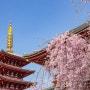 TSS 전염병에도 꿋꿋한 일본여행 열기! 알아두면 편한 안전여행 꿀팁