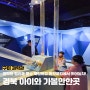 경북 실내 아이와가볼만한곳 구미 동락공원 내 과학관 코스 추천