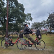 일본 나라 여행 사슴공원 나라공원 자전거 여행하기