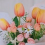 망고튤립 사랑고백 꽃말예쁜꽃 추천 튤립종류 꽃다발키우기 알아보자