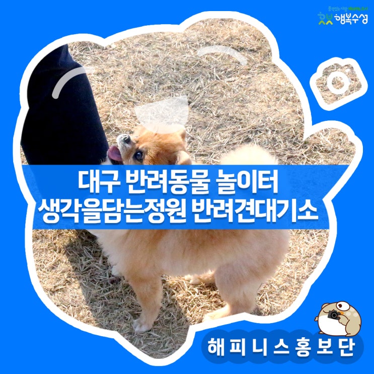 대구 수성구 반려동물 놀이터! 생각을담는정원 반려견 대기소