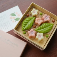 삐아프 벚꽃 초콜릿 봉봉 상자