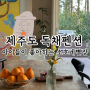 제주도독채펜션 소호네별장 내돈내산 후기