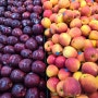 베트남 과일천국에서 눈으로 맛을 감지 하는 중.사과와망고사랑