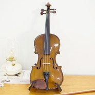 초등 바이올린 추천 스텐터 1400 - 목재 활에 감싸인 바이올린 줄