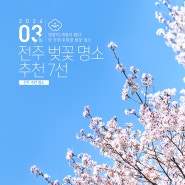 [전북 전주] 안 가면 후회할 벚꽃 명소, 전주 벚꽃 명소 추천 7선