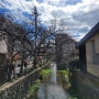 오사카 교토여행 :청수사,산넨자카,니넨자카