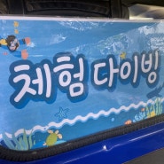 고래다이브 체험 스쿠버다이빙을 소개합니다!!