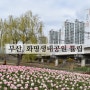 부산 화명생태공원 튤립 기차와 함께 담을 수 있어 더 이쁜곳(ft:산책하기좋은곳)