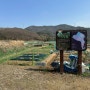 우리가족밭 동부산 시민텃밭 아이들과 함께 했던 텃밭의 변신 토양 준비 비료 뿌리기 비닐 덮기